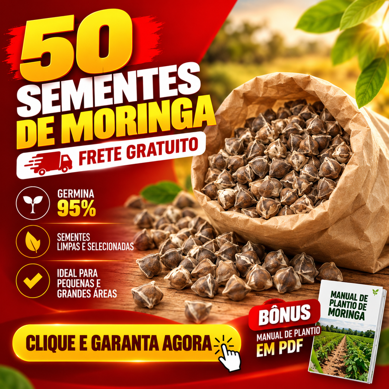 50 Sementes de Moringa + Manual de Plantio em PDF