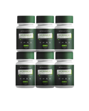 6 Potes de Moringa com 60 cápsulas cada